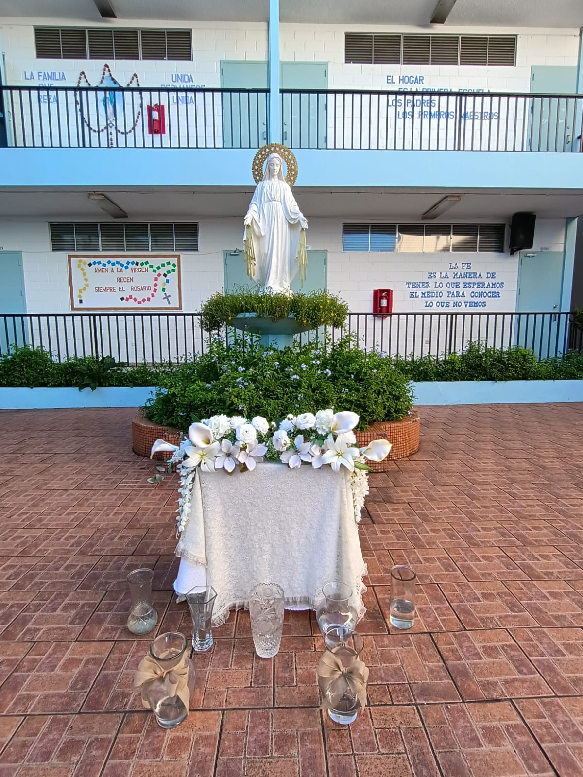 WhatsApp Image 2025 10 08 At 7.53.12 AM