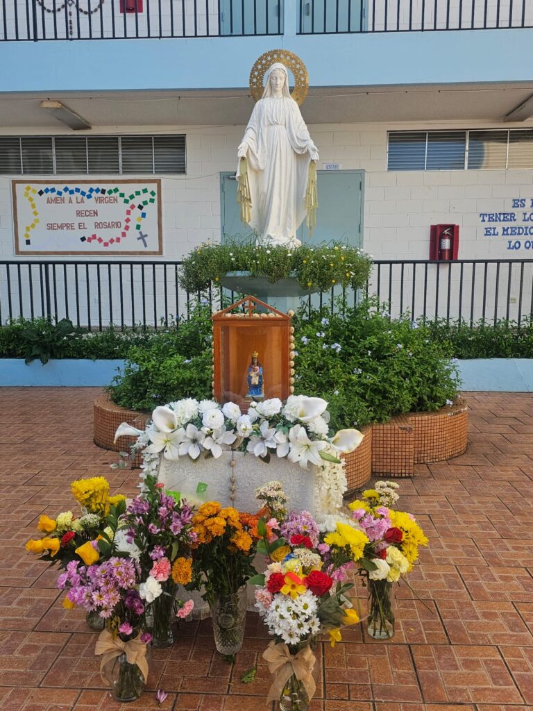 WhatsApp Image 2025 10 08 At 9.22.18 AM4 1 768x1024